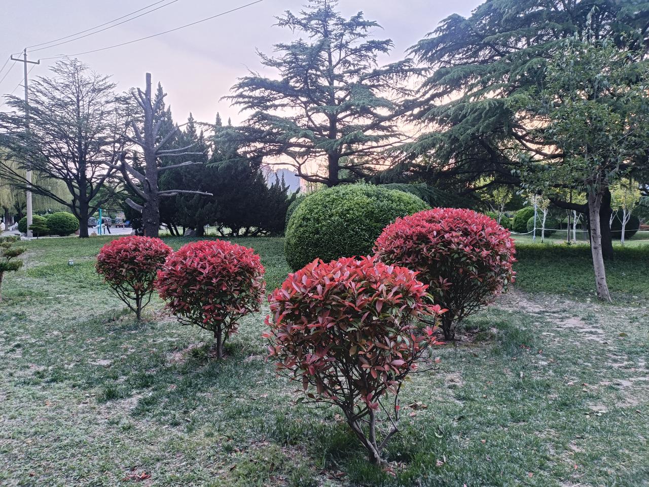 练形意拳不要贪多，
每一拳多去结合着不同的步法练练，
少而精最好，
那怕把一拳练