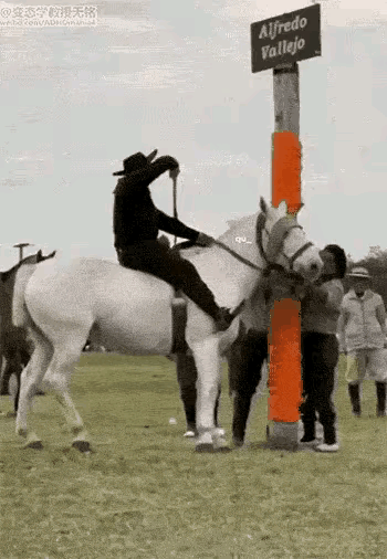 你天天骑我，我也享受一次不过分吧。#你骑你知道# #开开心心去骑马# #扶我起来