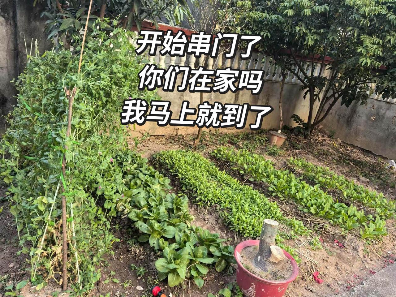 1000粉丝挑战计划 创作者中心 创作灵感 真实生活分享官 串门子