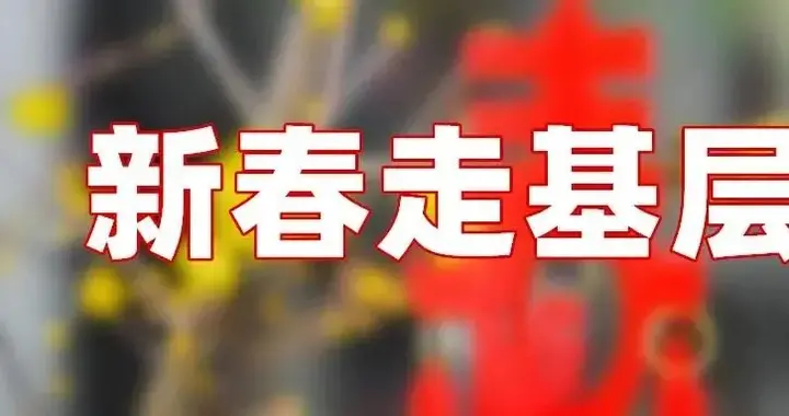 鉴黄师|招工小分队进村入户送岗忙——安徽省安庆市见闻