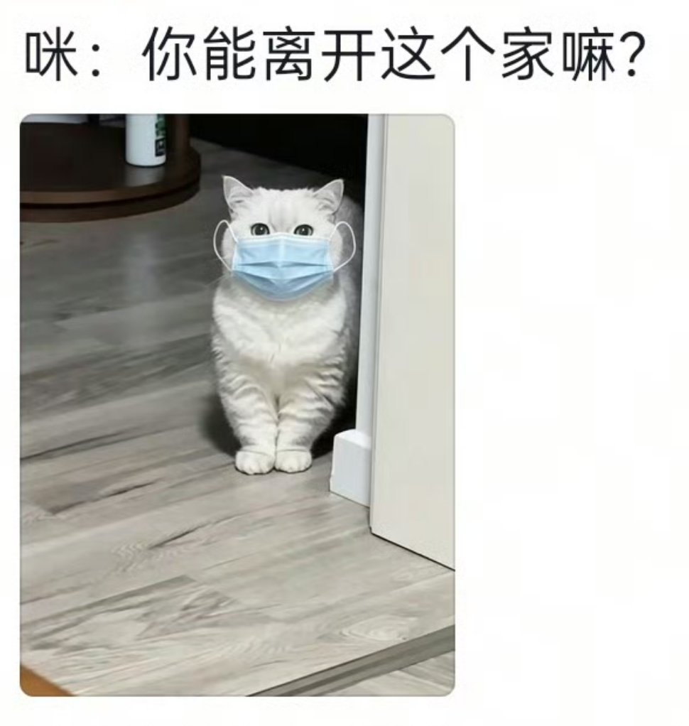 久病床前无孝咪铲屎官生病躺平，高冷喵星人瞬间变脸！不仅不端水喂药，还一脸嫌弃疯狂