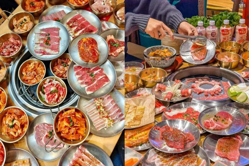 亮相江苏卫视！两年来仍排队3小时的流浪泡泡做对了什么？