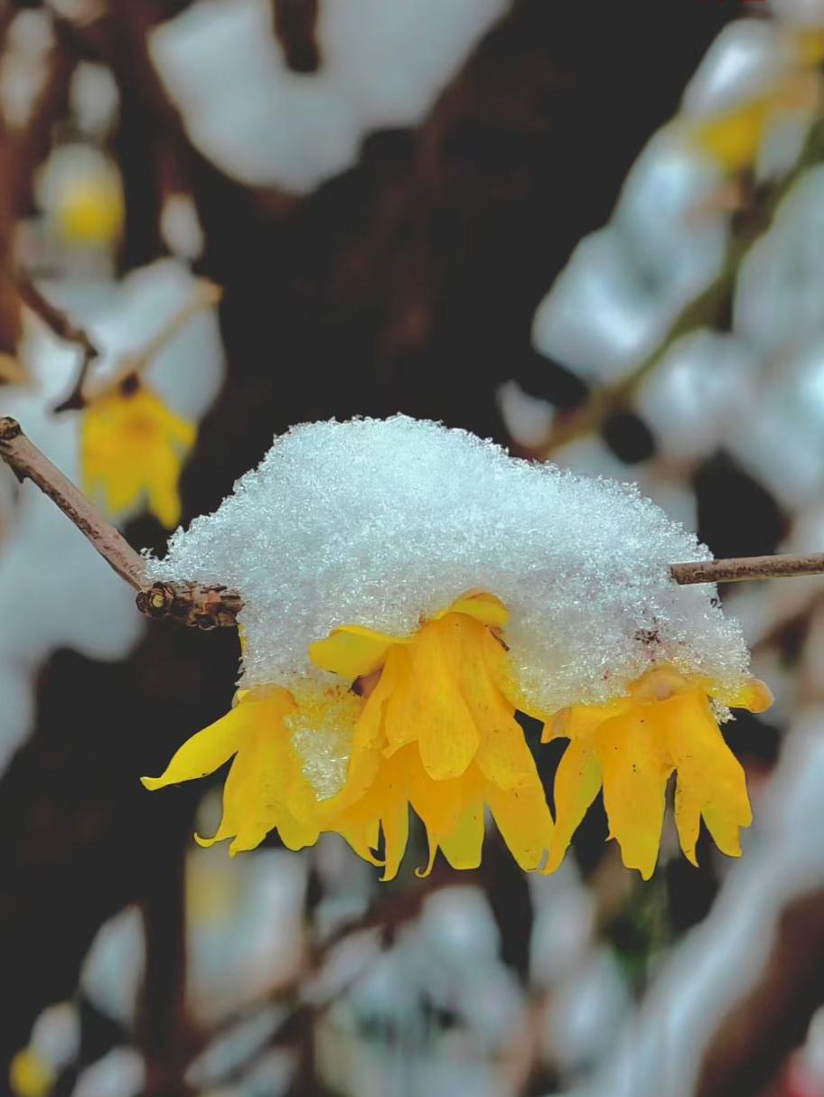 人这一辈子，谁还没为点事、为个人钻过牛角尖？那些得不到的人、做不成的事、咽不下的