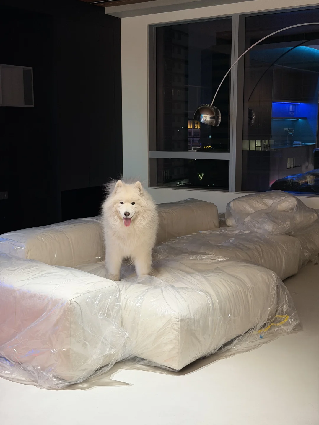 新沙发放好之后