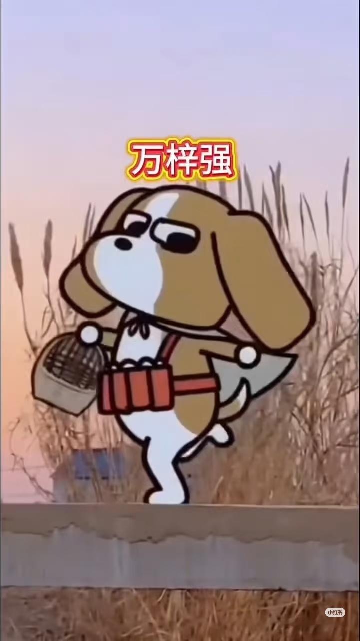 低成本，但高质量！宣发全靠朱一龙跳舞！万梓强全平台跳舞[笑cry][笑cry][