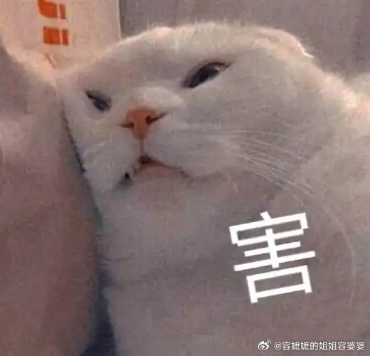 降息最近，公司楼下开了20年的银行营业网点关门歇业了，那可是有着不低于1000平