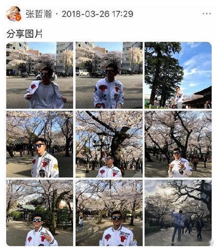 宝可梦踩靖国神社红线不是初犯 这么晦气的地方就非得去?上一个去拜鬼的已经是亡妻妈