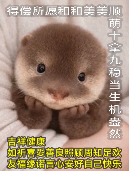 吉祥健康如祈喜愛•你 
生机盎然周知欢乐•好 
得偿所愿和和美美•顺 
未来可期