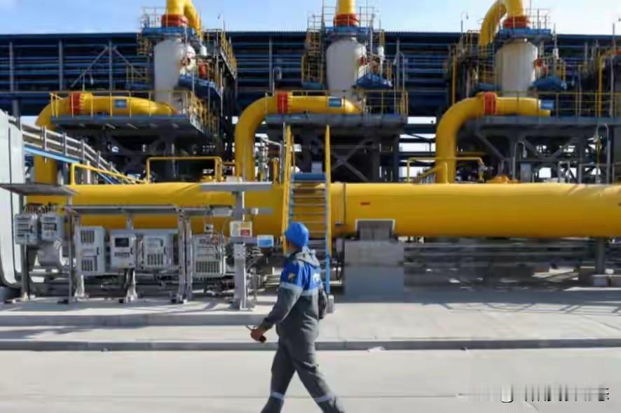 德国声称：中国制造让人上瘾，中国制造成本低，这优势太明显了。

就拿电子产品来说