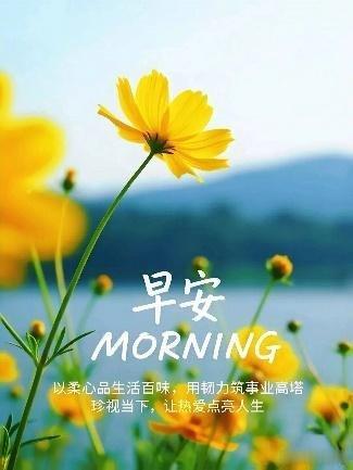 每日一善[超话]每日一善,阳光信用  我们每个人的漫漫的人生路就像是一望无际的大