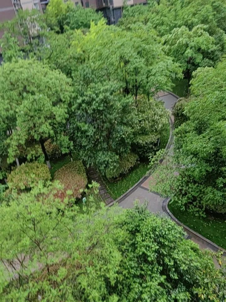 这几天的天气变化较大，前天气温28℃，有的人都穿䊺袖了，今起来下起了雨，气温骤降