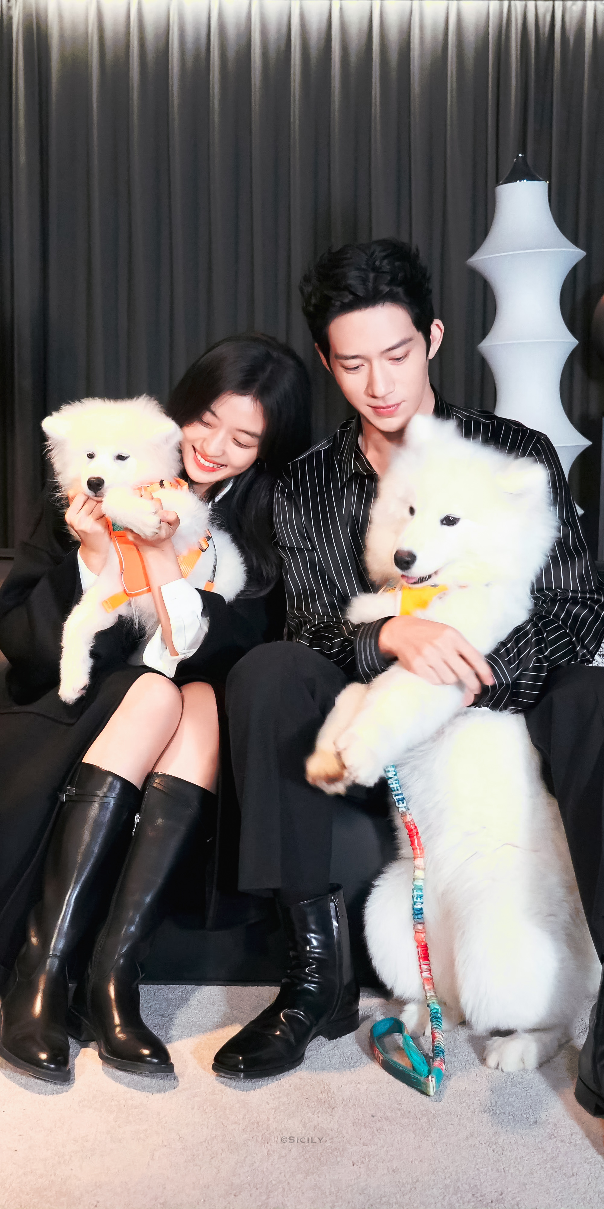 -想和你养个狗狗🐶早春晴朗 ｜早春晴朗二创大赛 ​​​