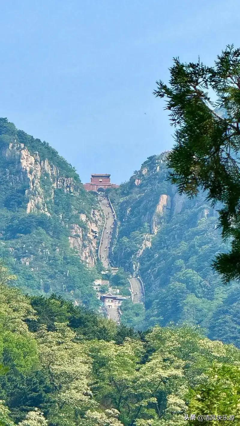 气死我了，我作为一个山东人，就是说了一下我们存在的一些缺点和不足，没想到这么多老