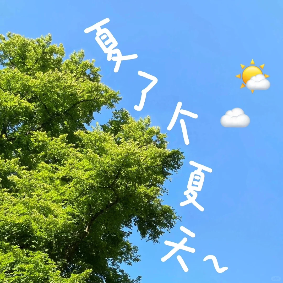 六月的骄阳初升，朋友圈文案🌿