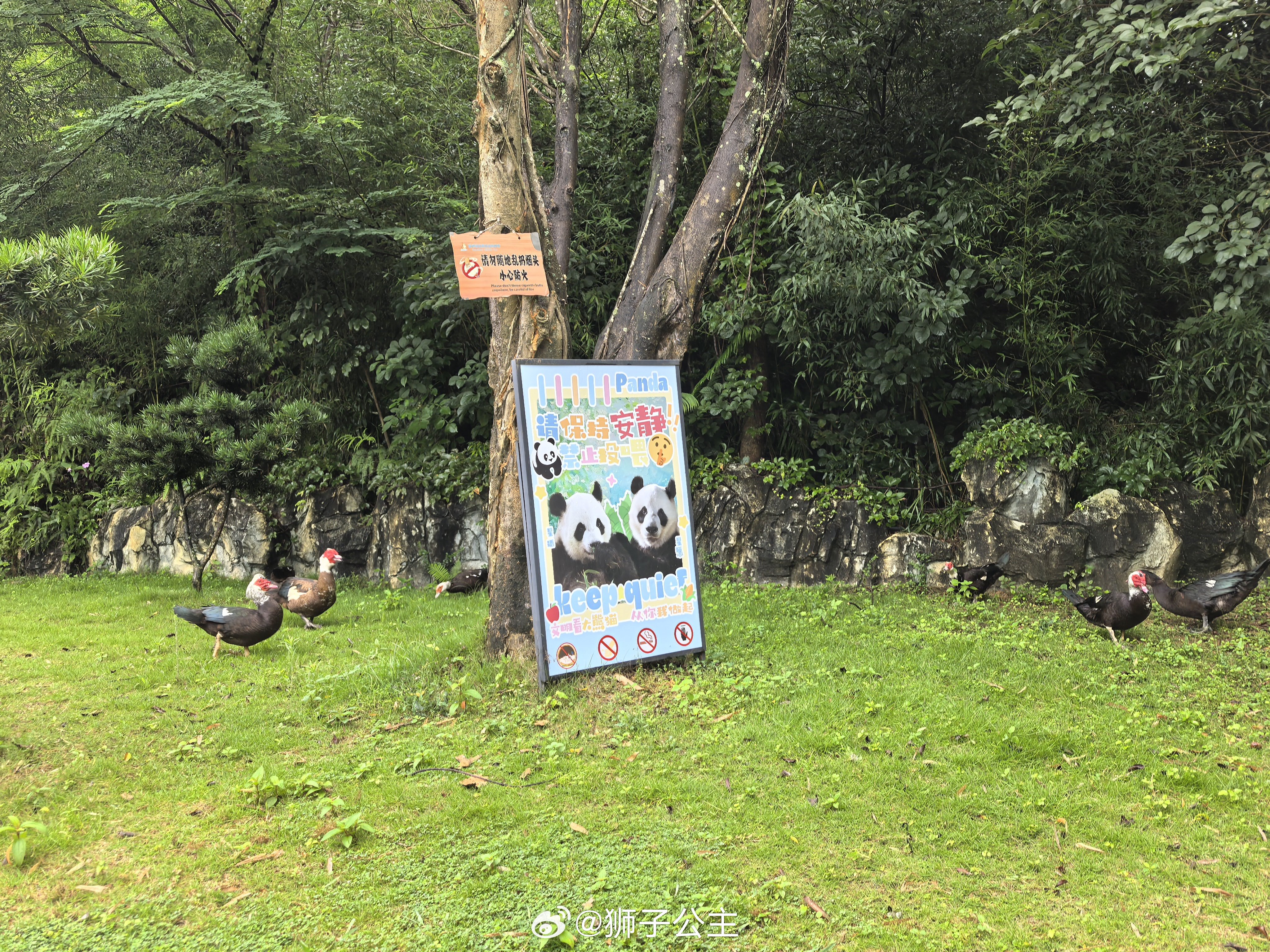 去吃🎂 冲🦆 泉州·泉州海丝野生动物世界