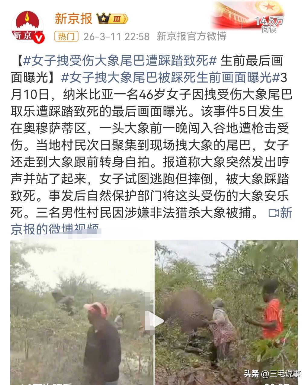 这真的是手太欠了，不作死就不会死。

近日，纳米比亚女子拽受伤大象尾巴遭踩踏致死