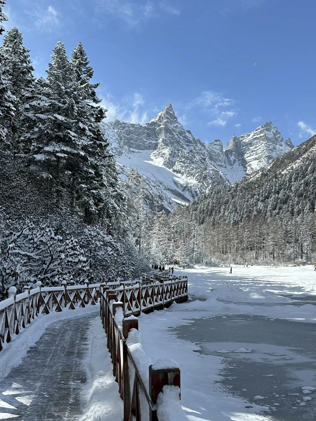 11.27📍雪后的毕棚沟，真的是被美哭了😭