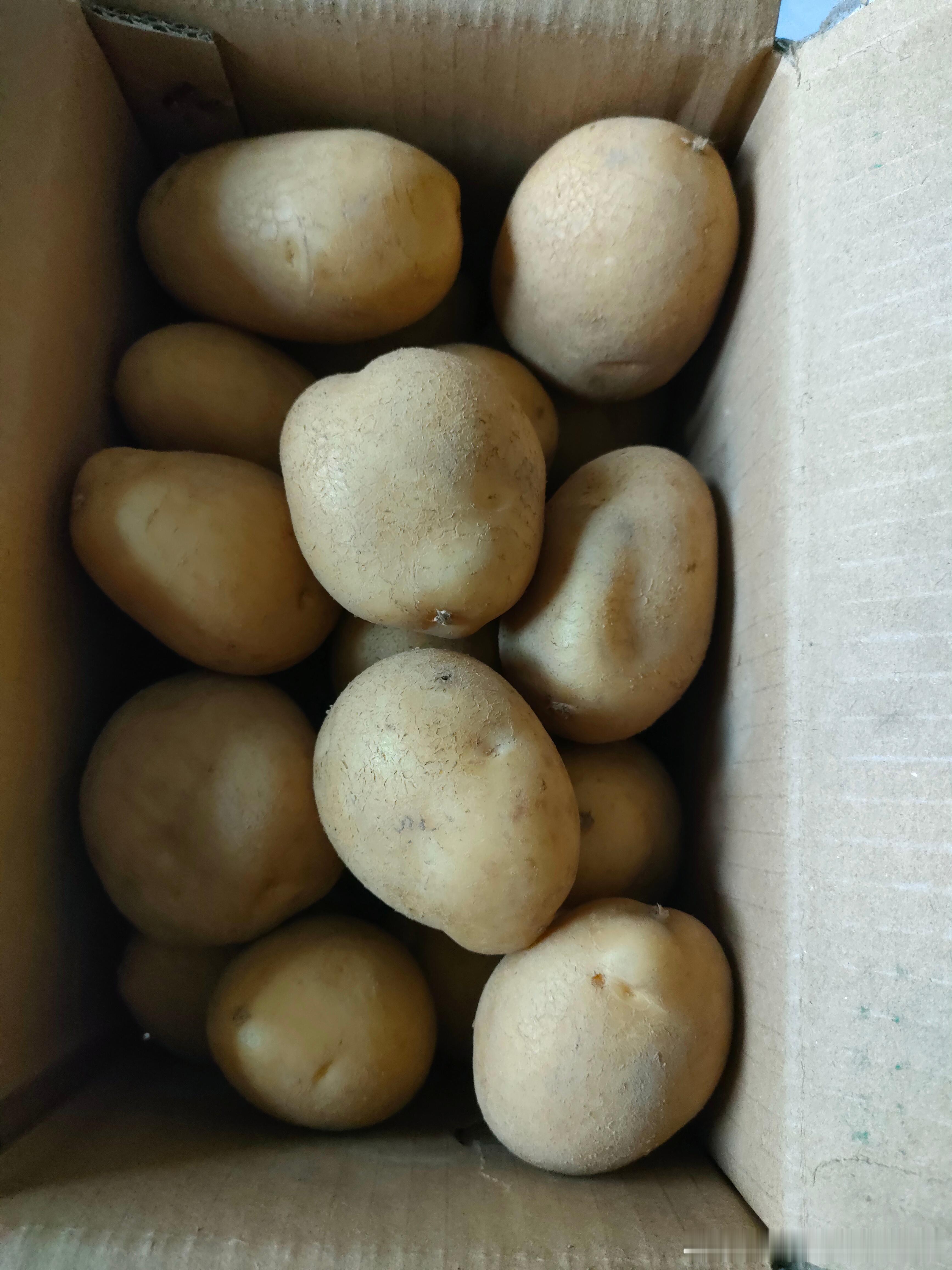  小伙伴又給老肥猫寄的马铃薯[嘻嘻]从甘肃白银会宁种植基地直接顺丰发的待老肥猫次