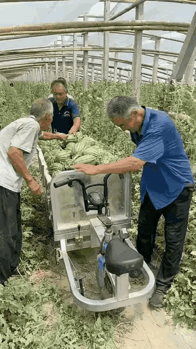 发明这种可原地掉头电动车的人，有点东西