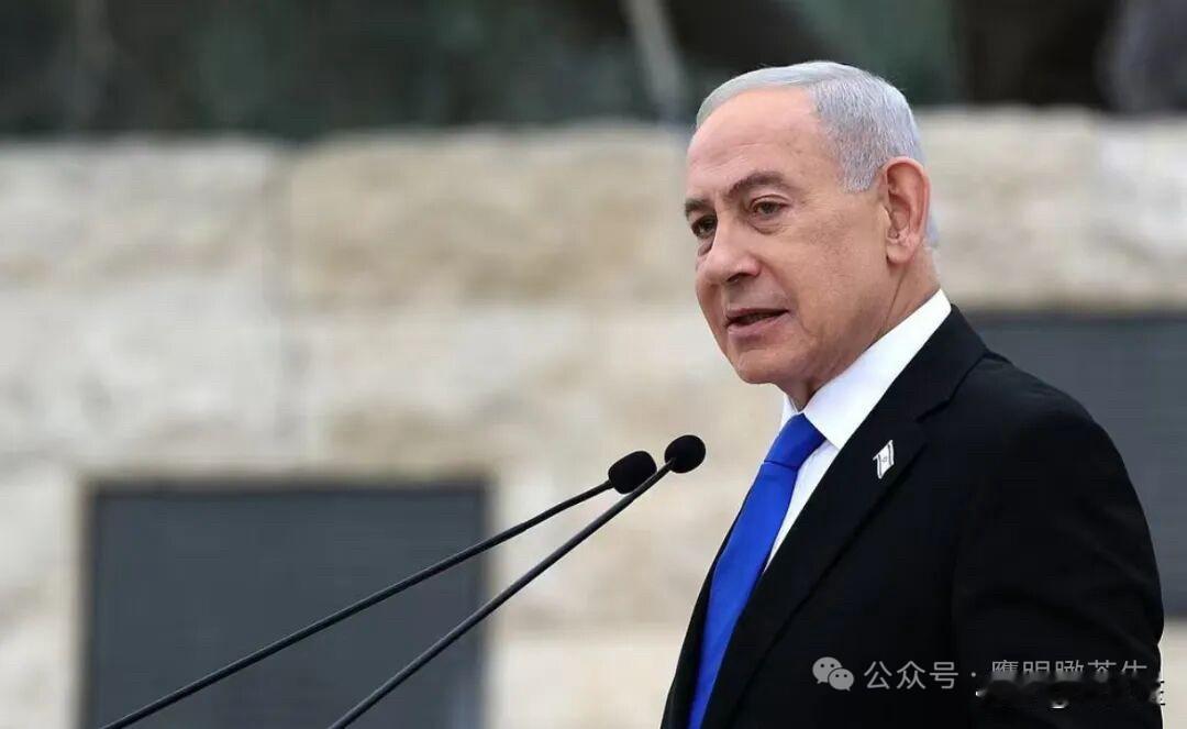 内塔尼亚胡发表视频声明称，“以色列比以往任何时候都更加强大，而且必须始终比敌人强