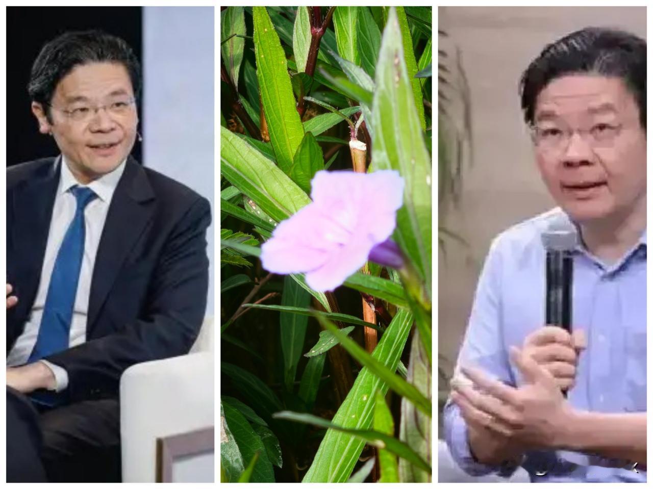 “鼻涕国”又来一个顶着一个雷劈头的“尖嘴猴腮”家伙，让人膈应、恶心，真想大嘴巴抽