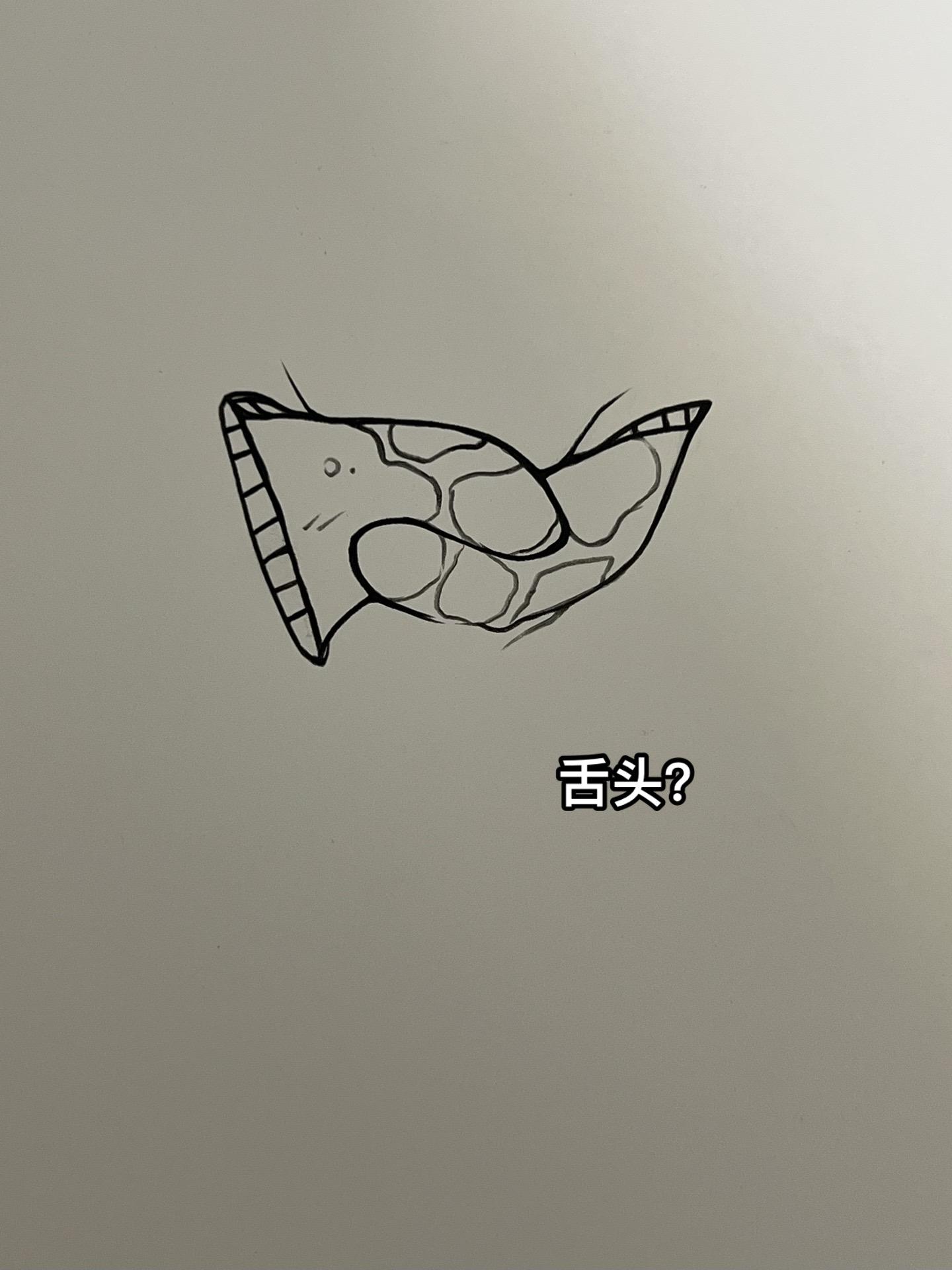 迪达拉的快乐...