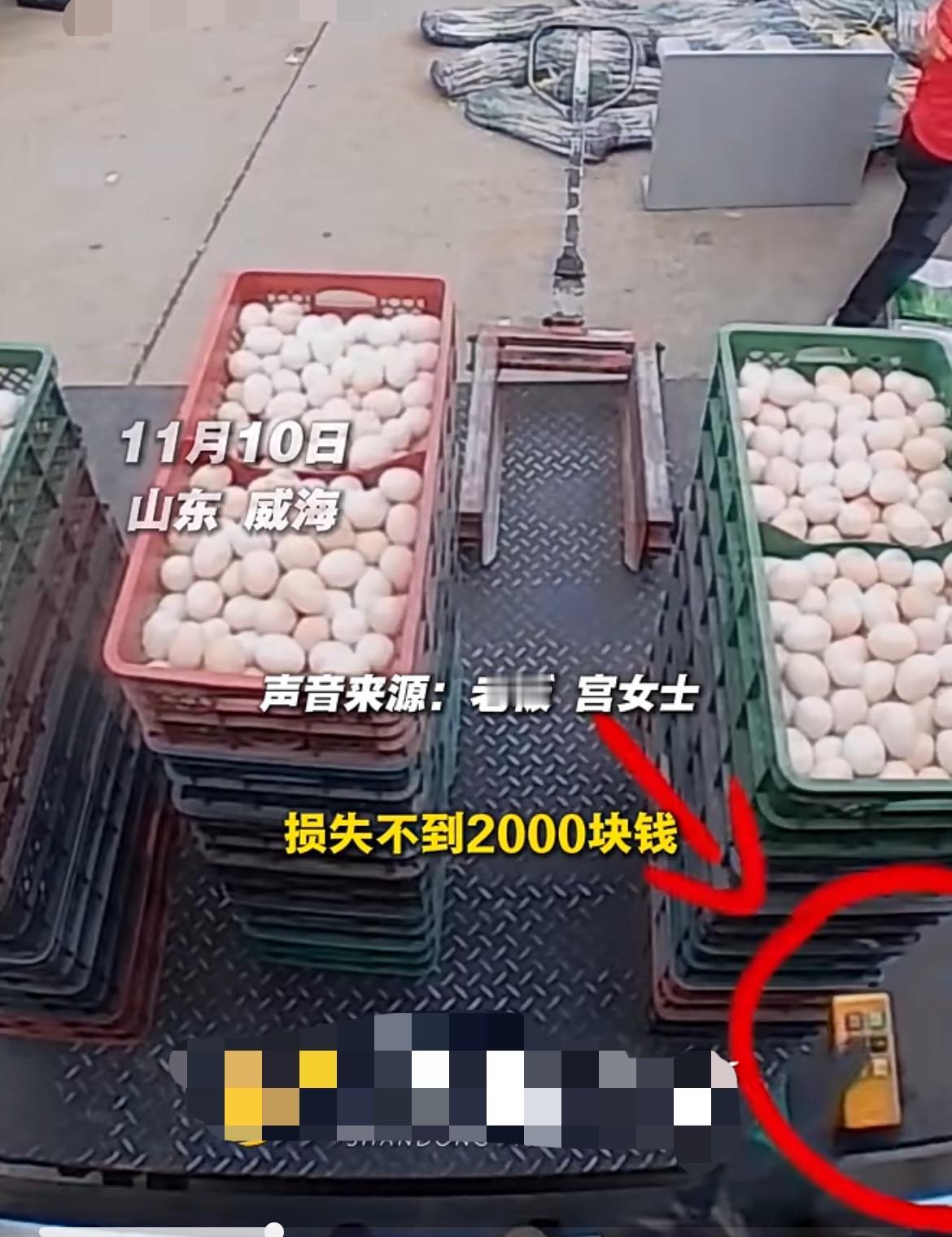 山东威海，宫女士店里的伙计正在卸货，18筐鸡蛋摆在货车尾板上，一个伙计按下控制按