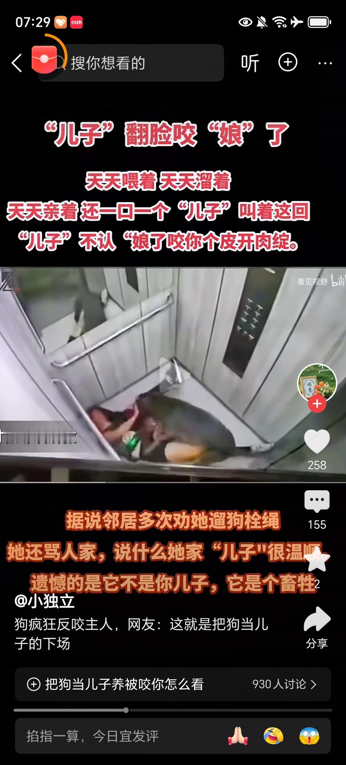 这女子恐怕也知道自家狗对邻居狂叫挑衅的事情，只是没伤到自己不当回事罢了，但凡对别