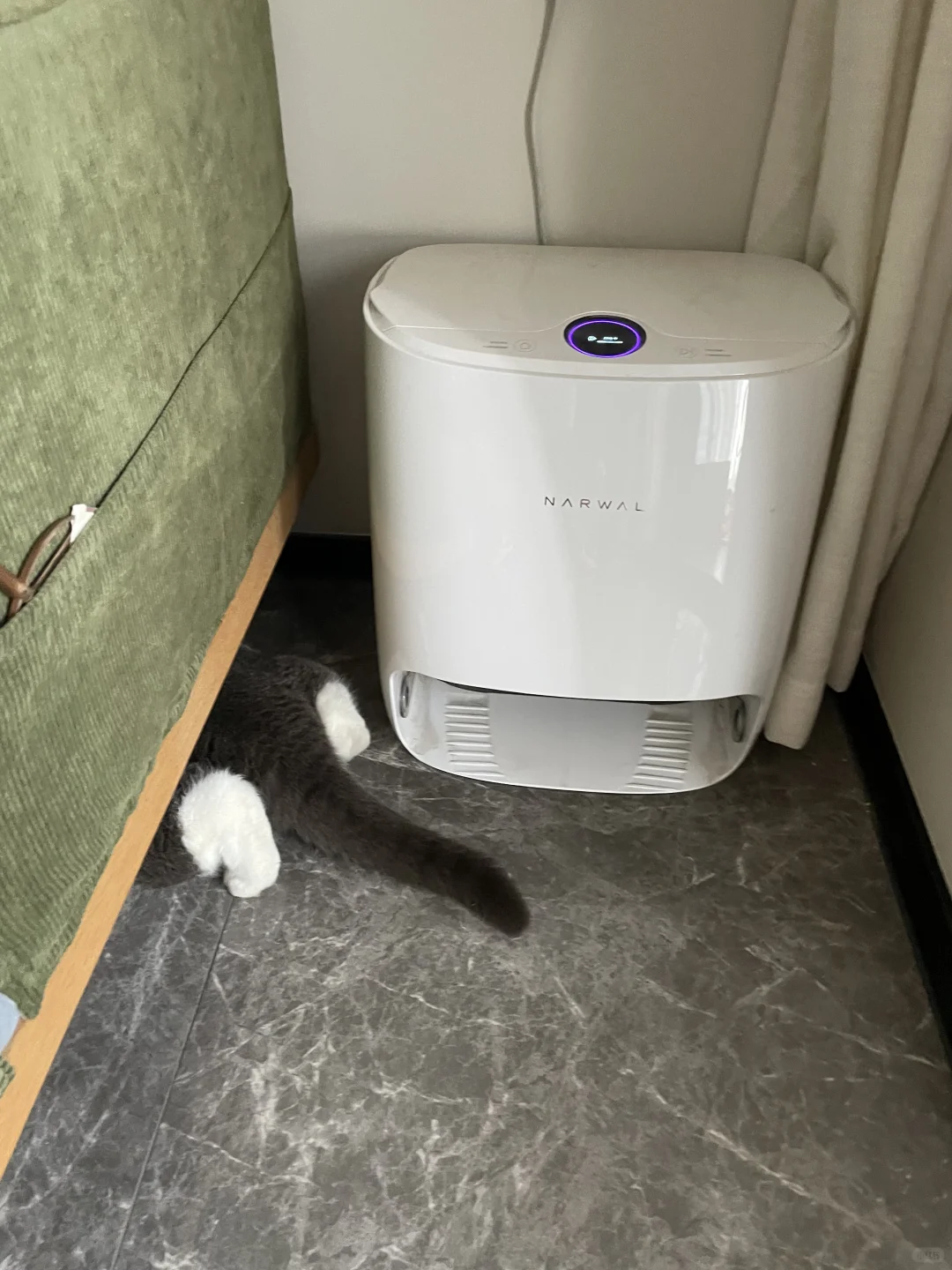 怎么有小猫这样睡觉啊😠！