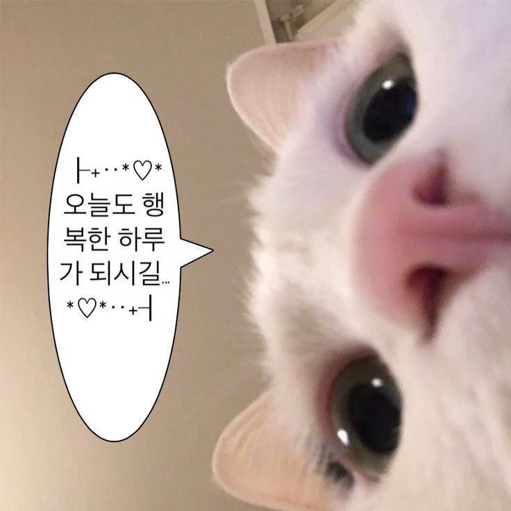 😇^ 专注现生 不常上线 私信随缘回～    ᳐₌ᗜ ֊ ᗜ₌ ᳐ ​​​