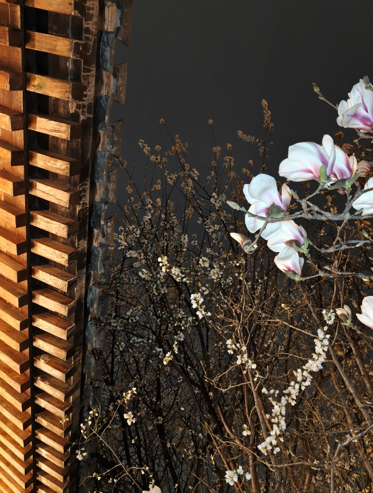 发现北京公园这波操作，还挺细的。直接上线实时过敏指数提示，把“今天能不能出门”这