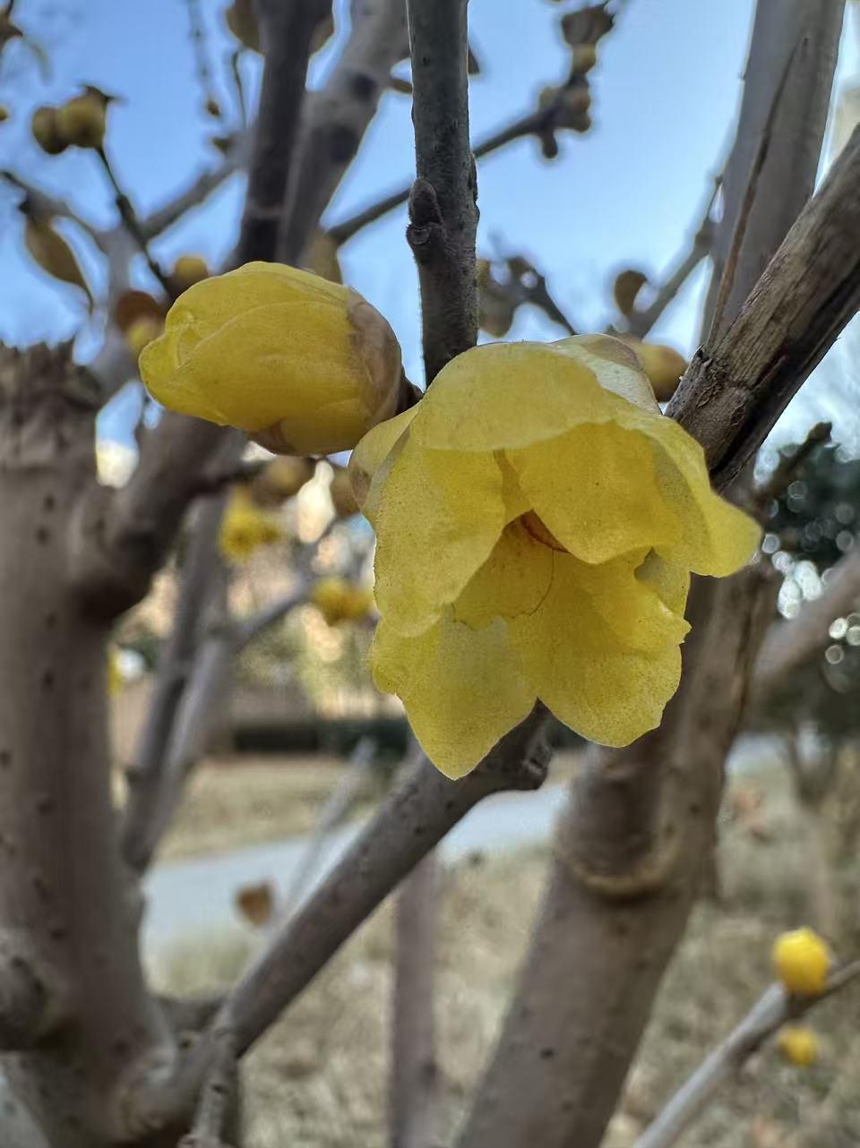 短小说记。起的晚，起来嗑瓜子。嗑瓜子，刷视频，很惬意。我不太装，是啥就是啥。一个