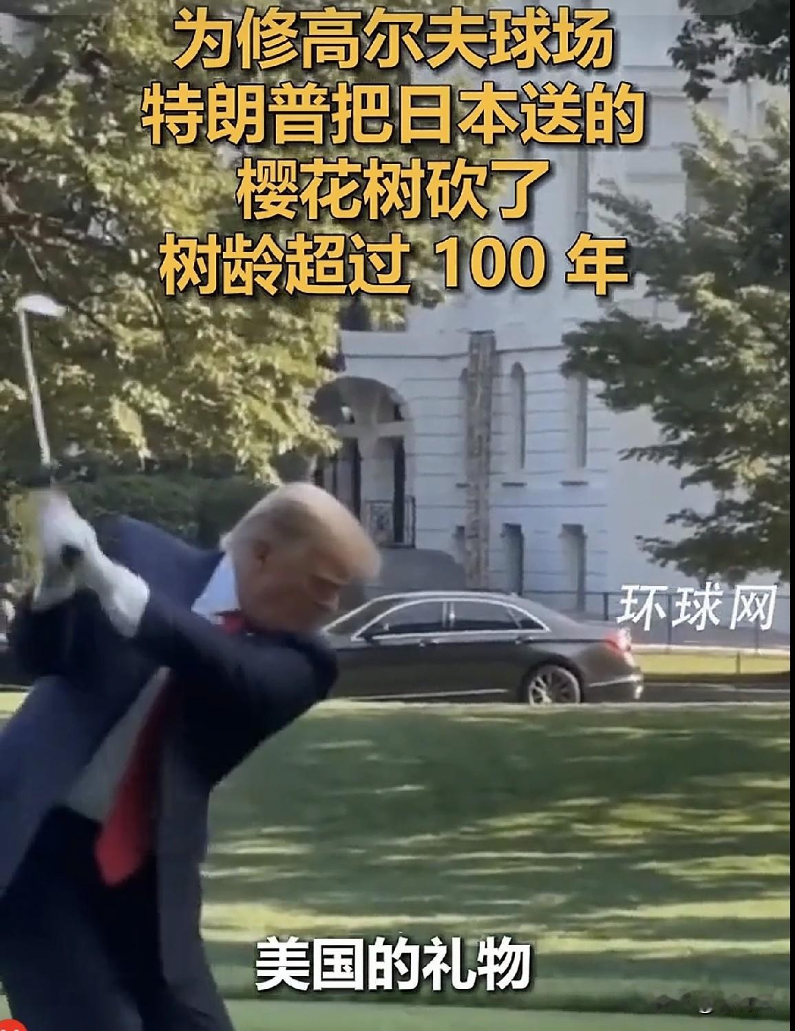 特朗普砍了百年樱花，高市早苗敢怒不敢言。《印度斯坦时报》8月30日披露，特朗普政