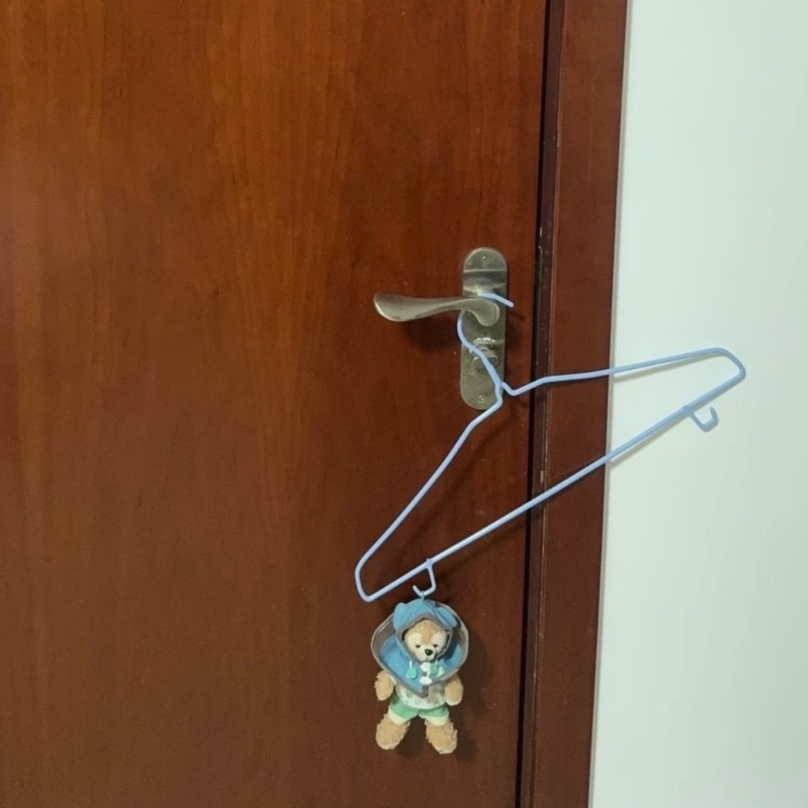 姐姐你确定要把达菲这样挂咱卧室里吗  让它每晚被迫观察我们的妻妻生活是不是不太好