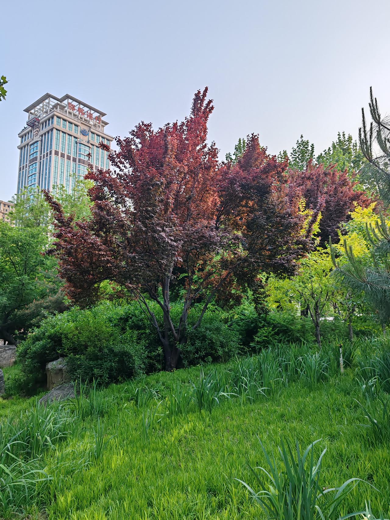 《通透人生》风狂凭它刮，雨骤任它下。人在风雨中，潇洒象在家。风雨又如何，自当没有