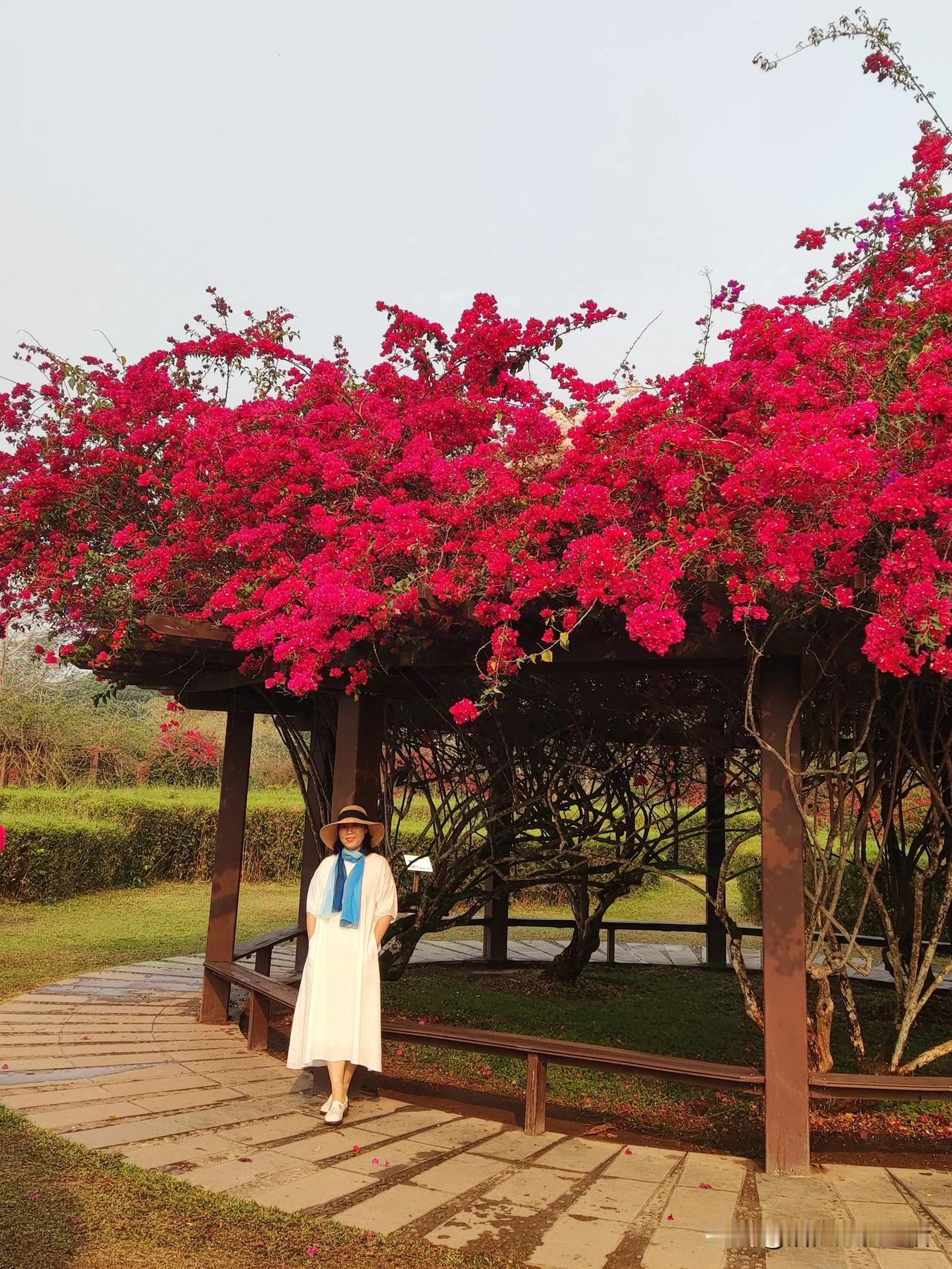 #上联：冬去千山秀，诚邀下联#
我对下联: 春来百花香