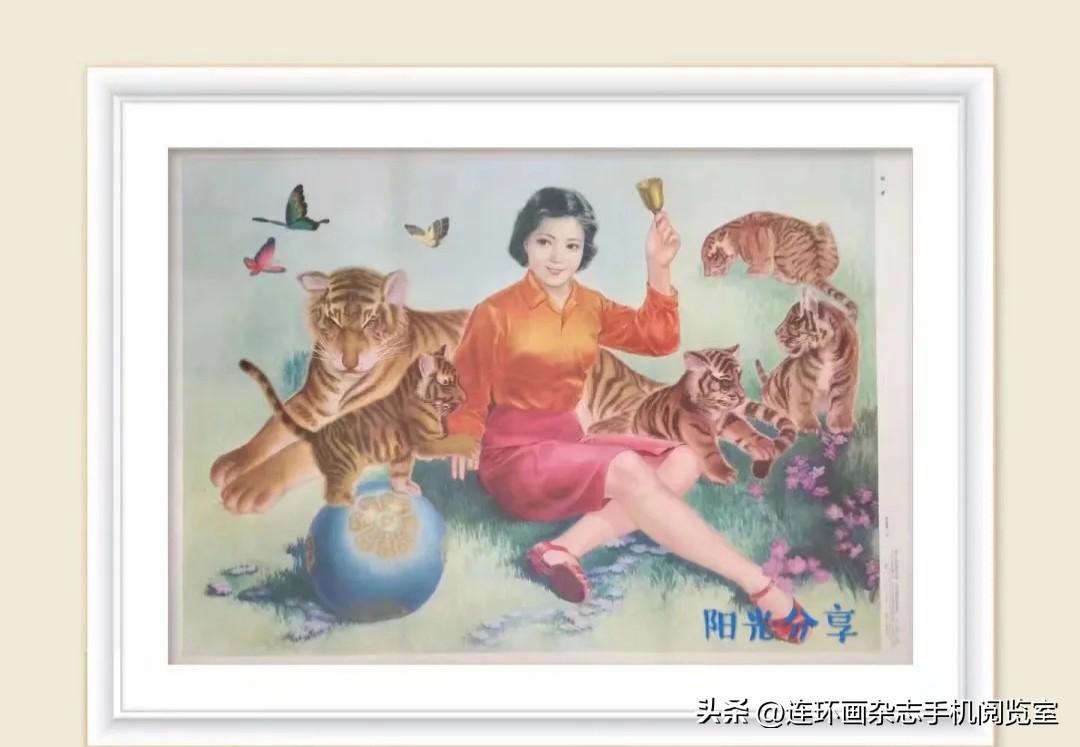杂书杂画柜〔2026.6.23辑〕