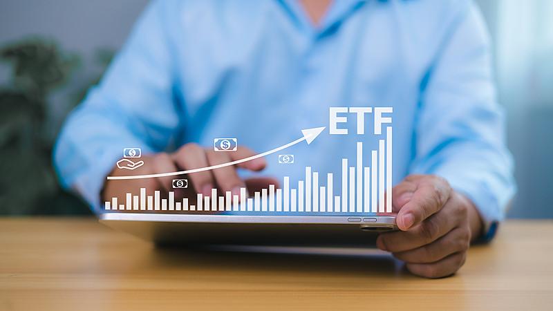 ETF和股票有哪些区别？
       此前我一直分不清ETF与股票的区别，直到