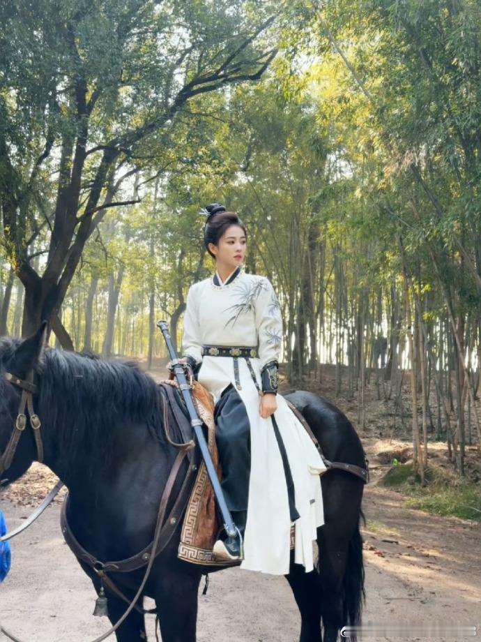 白鹿王星越唐宫奇案质感 白鹿和王星越都是很有潜力的演员，在《唐宫奇案》里他们将挑