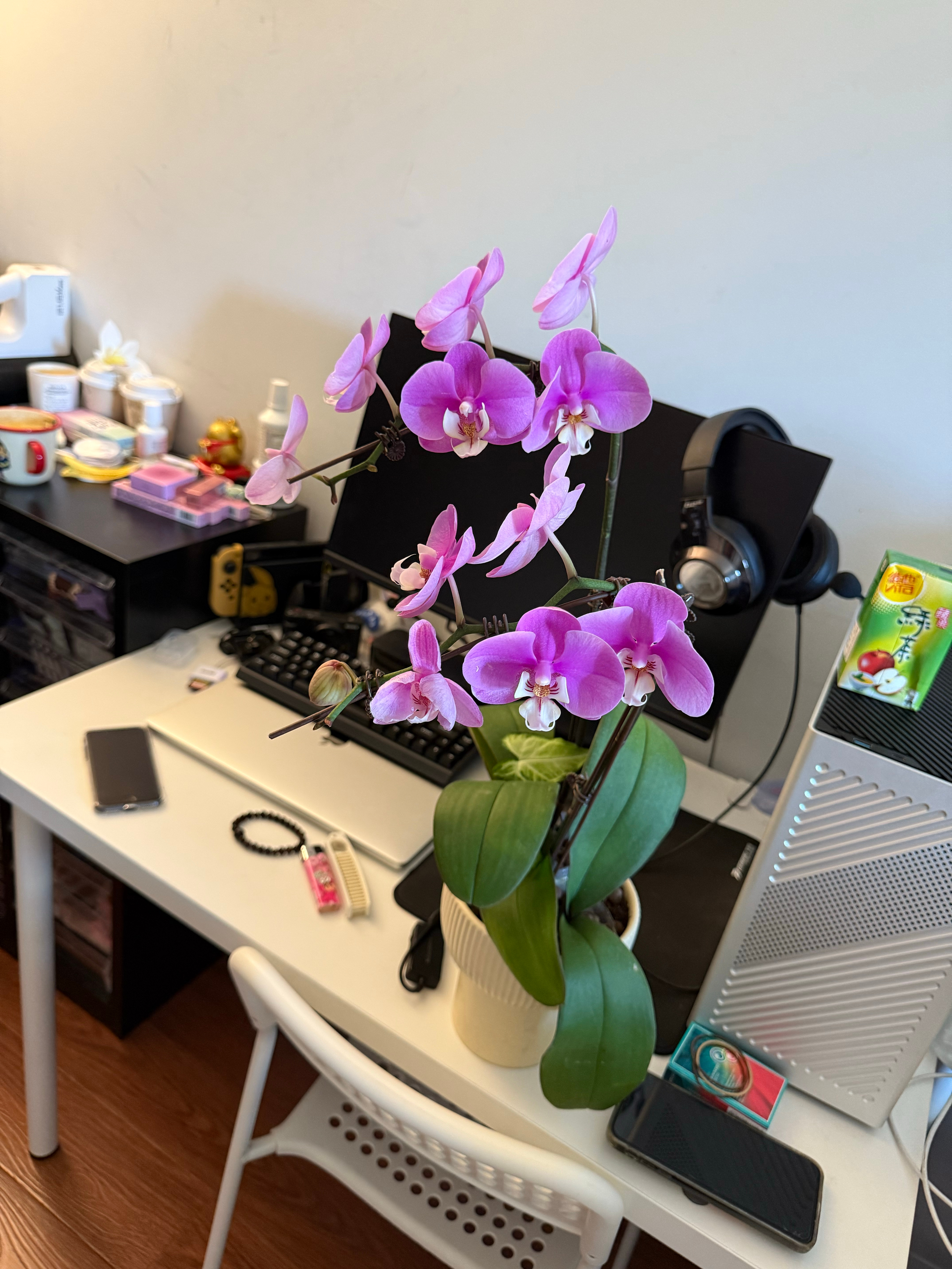 什么样的一群人可以白天玩了6个小时剧本杀吃完晚饭又叫上门dm到酒店通宵玩到8个多