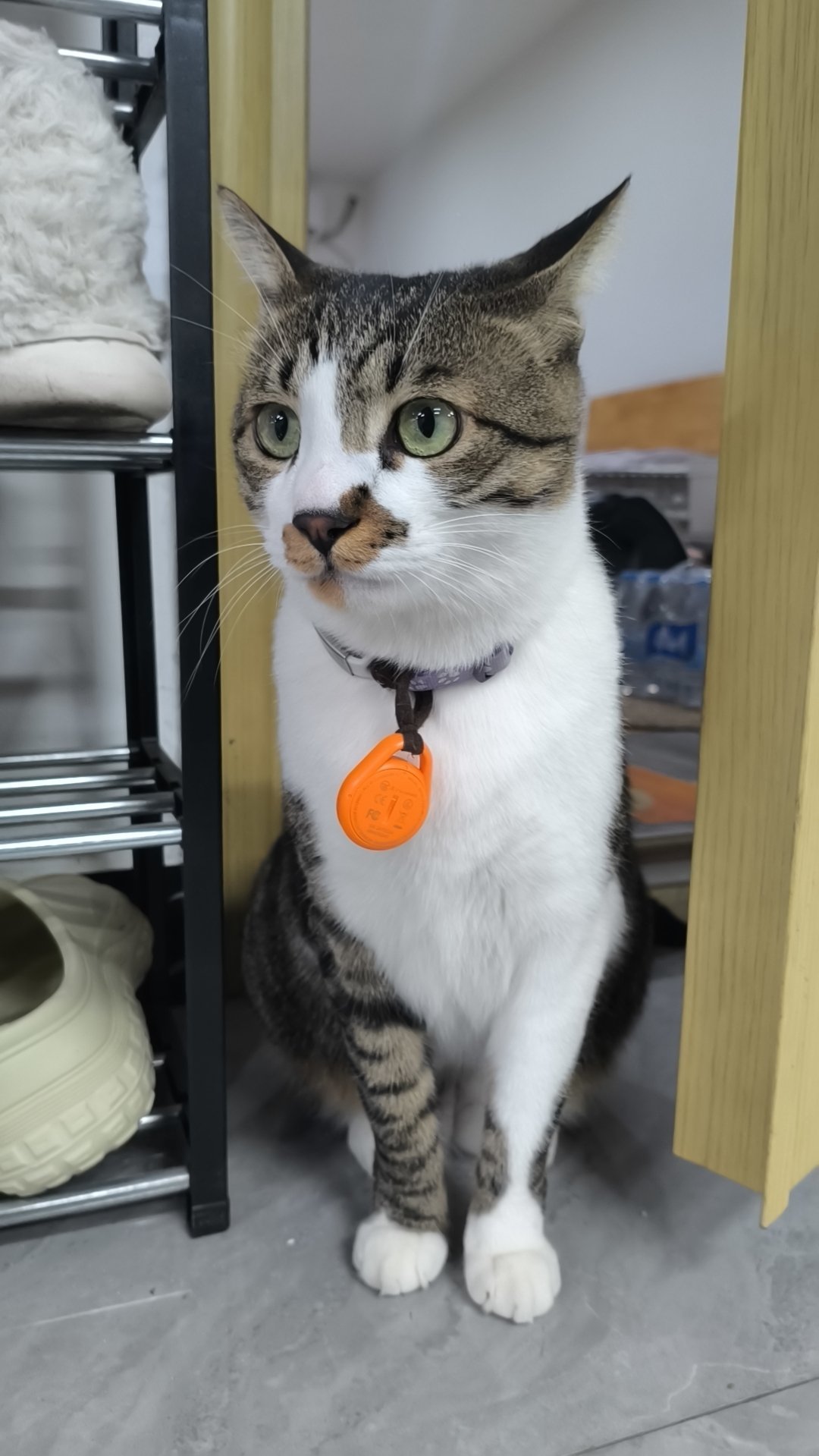 签到签到签到，明天再干三天，干完就连睡三天大觉           