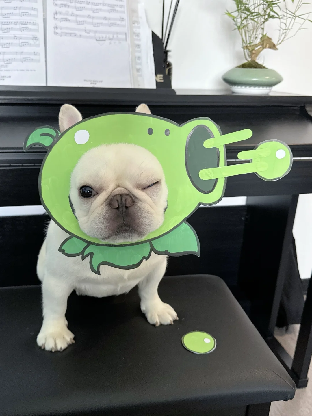 我是一个没有感情的豌兜射手