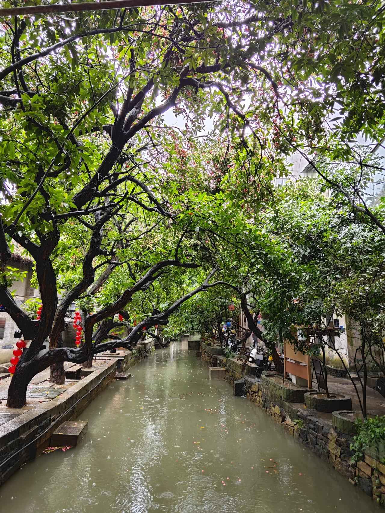 广州小洲村的初夏