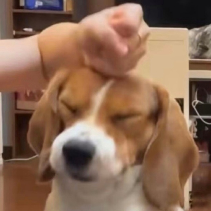 我看谁还护