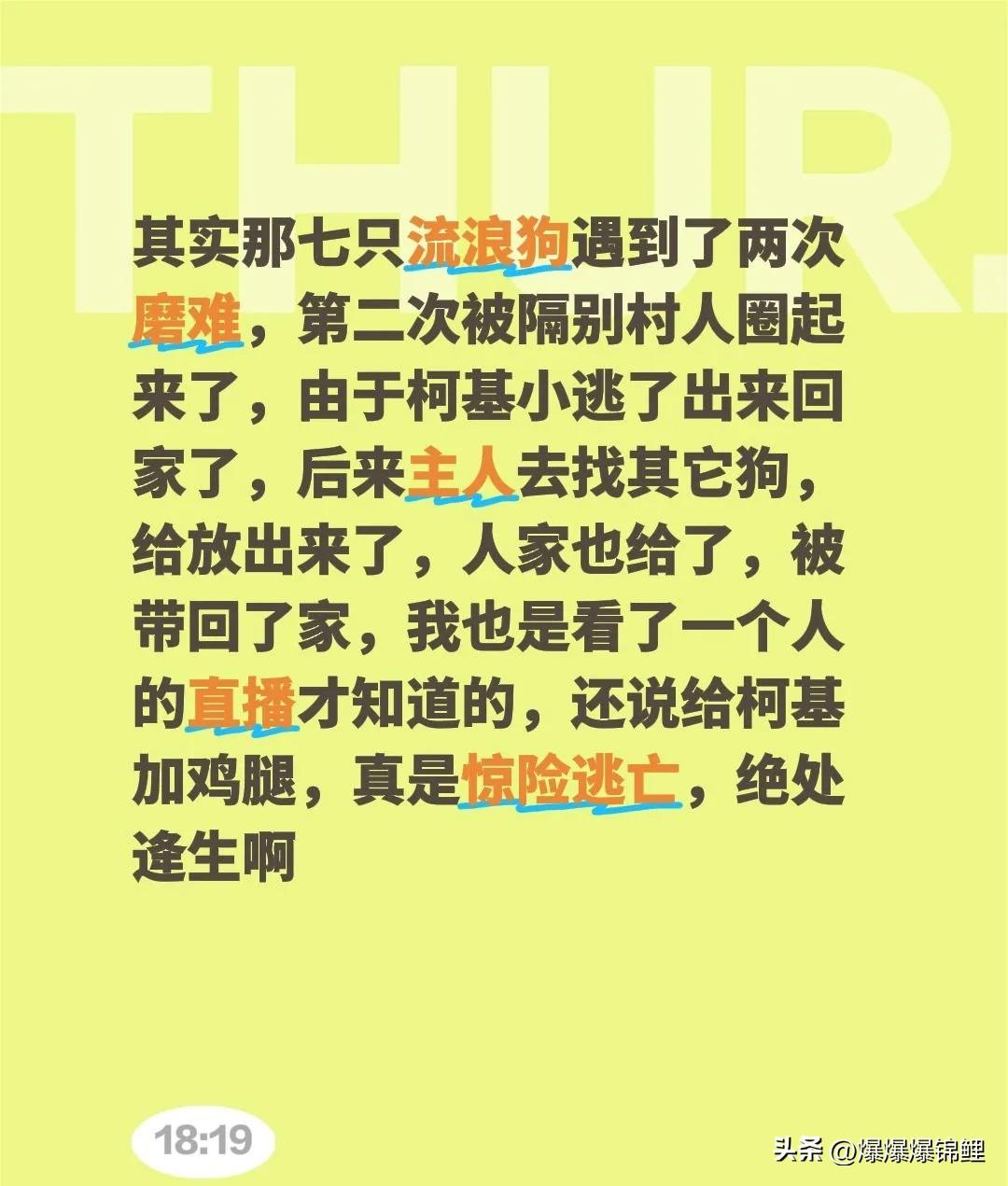 昨天刷直播，看到个挺离谱的事儿。

谁能想到平时看着呆萌的小短腿，关键时刻还能当