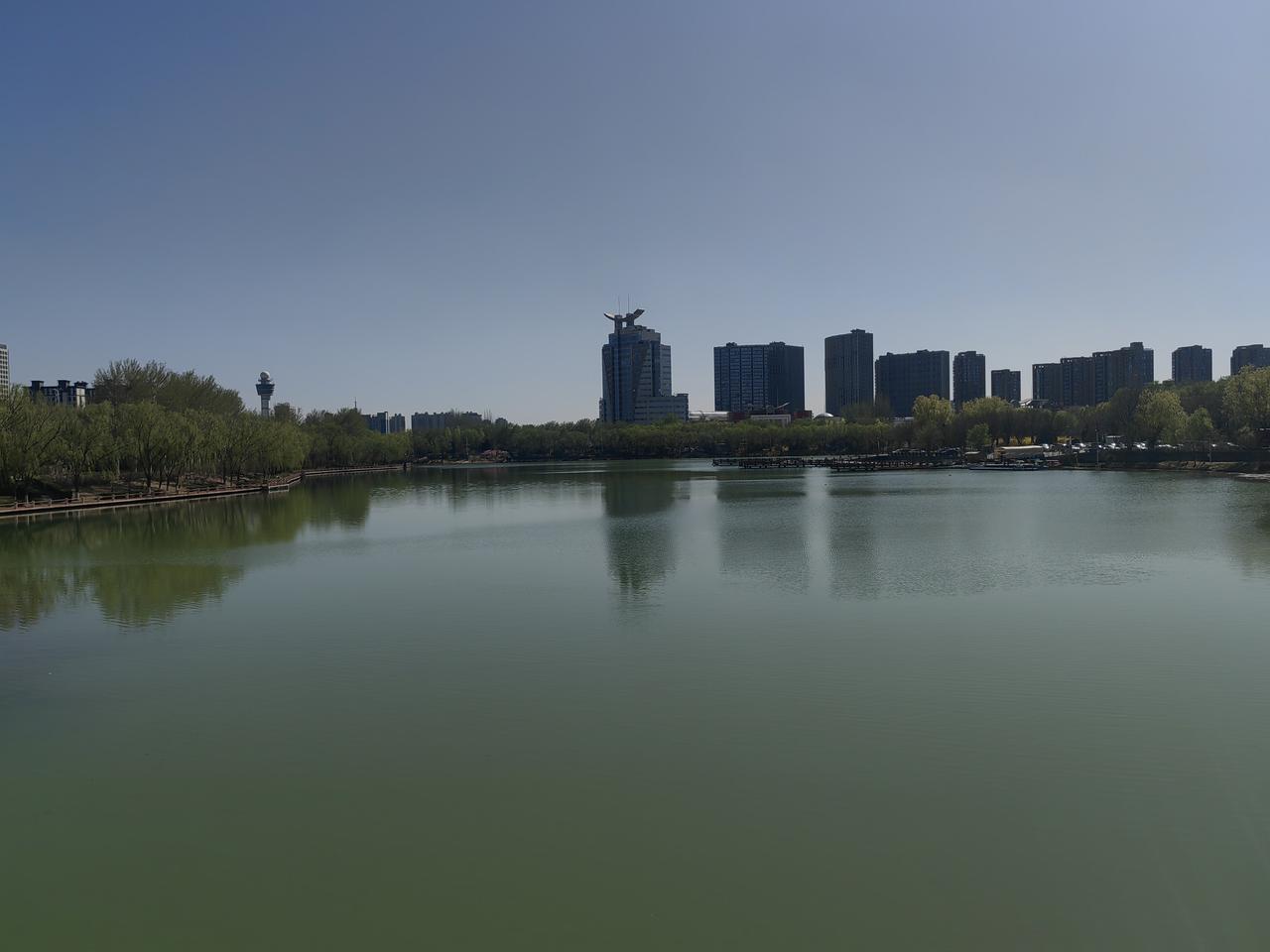 4月6日，风和日丽，天朗气清，信步去银川典农河畔赏春景。一到那儿，就被眼前的景色