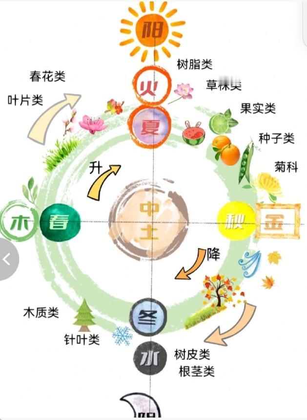 开方子就好像带兵打仗，把中药弄明白就是了解你的兵；如果你连你的兵都不了解，带兵打