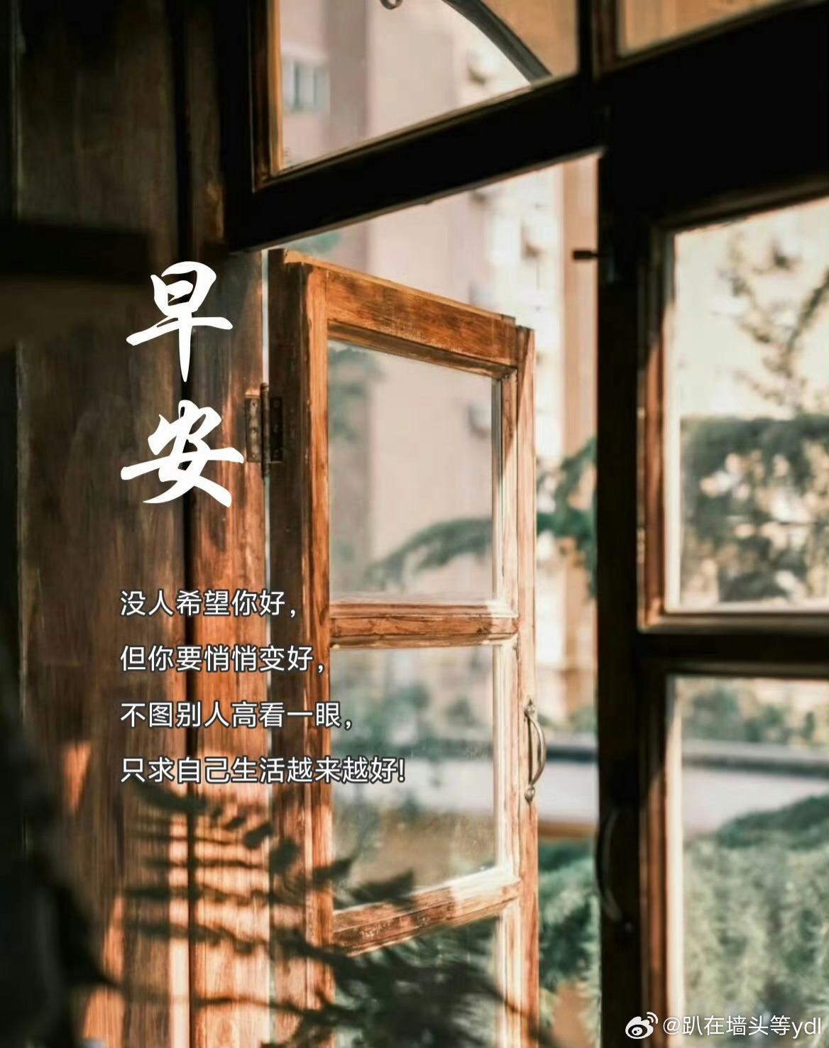早安☀️☀️☀️日出而作，皮质醇清晨升高，5，6点醒反而是健康的表现，只要白天精