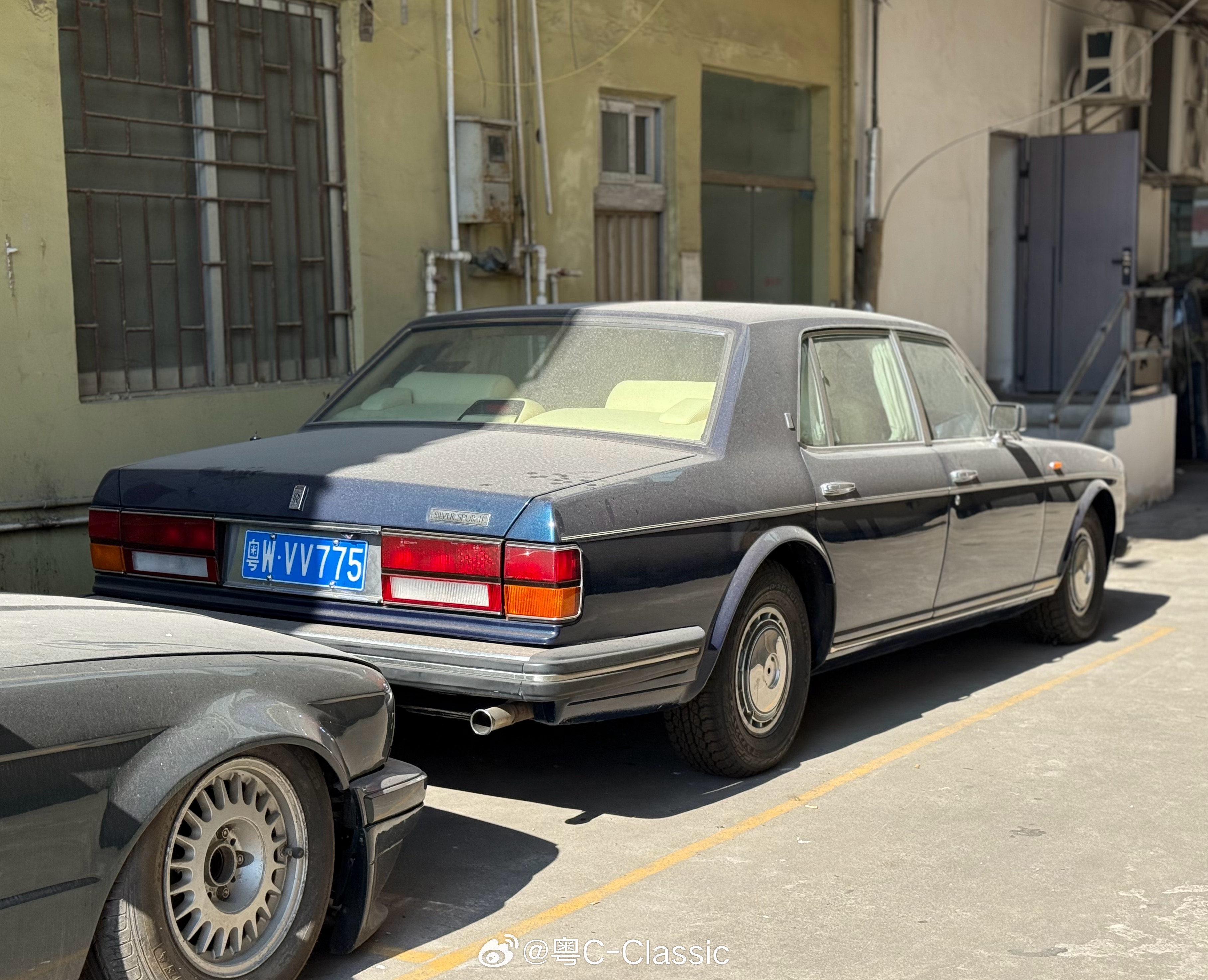 cars01豪车拍 “省内路上见闻16”之九十年代那些具有代表性的豪华轿车·Ro