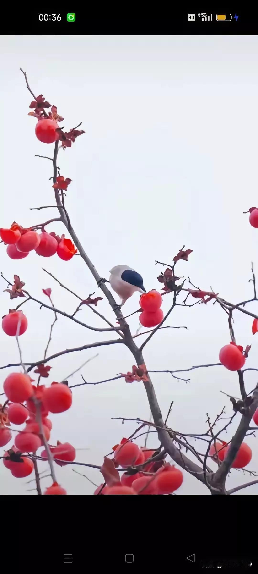 人，就是因缘和合，转眼成空。
想到父亲突然离世，从此以后，此生不恋，心思单纯。